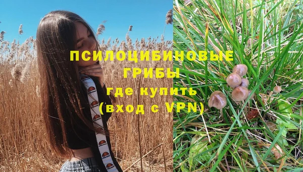 экстази Алзамай