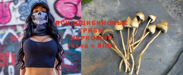 сатива Алексеевка