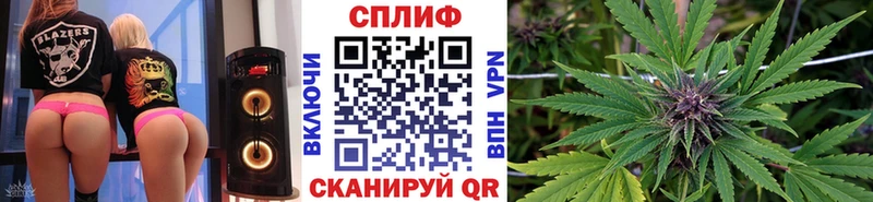 Бошки Шишки ГИДРОПОН  Губкин 
